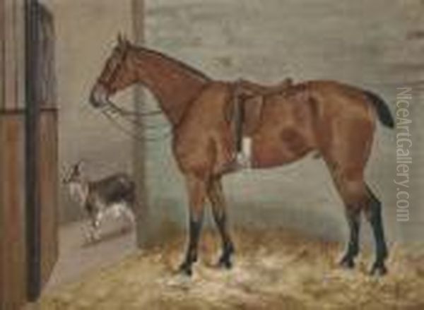 A Saddled Bay Hunter In A Stable With A Goat Oil Painting by George Paice