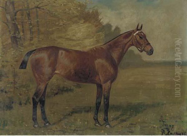 Jenny' A Bay Hunter In A Landscape Oil Painting by George Paice