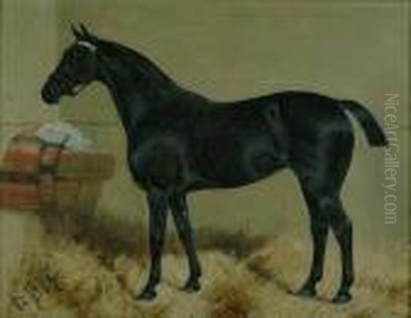 ''mabruk' And 'bourton' - A Pair Of Hunters' Oil Painting by George Paice