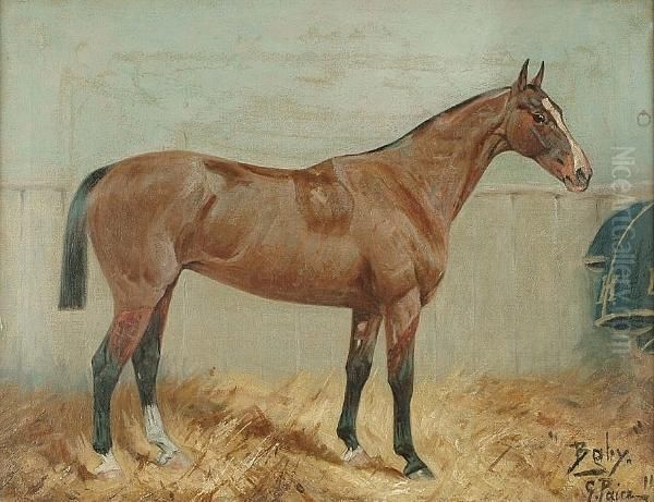 'baby', Portrait Of A Horse In A Stable Oil Painting by George Paice