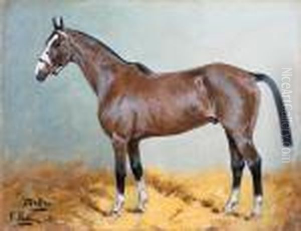 The Bay Hunter Winning Post; The Race Horse Maid Marion; And Thebay Hunter Melton Oil Painting by George Paice