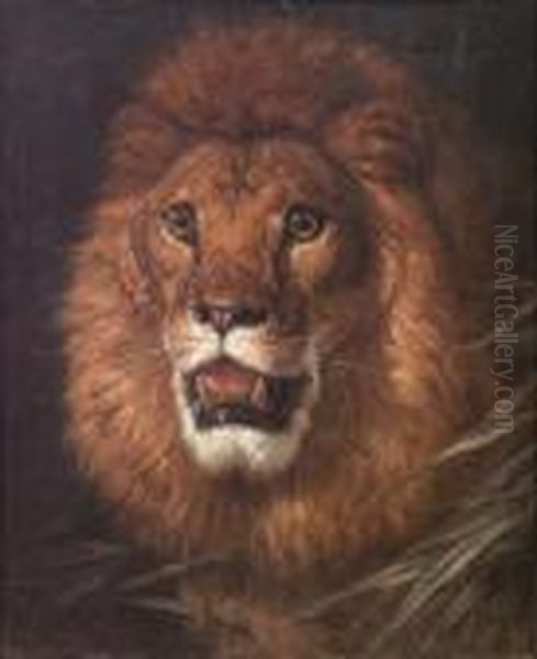 The Lion Oil Painting by Filippo Palizzi