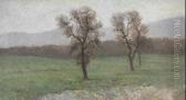 Paesaggio Con Alberi Oil Painting by Filippo Palizzi