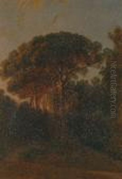 Scorcio Del Parco Di Capodimonte Oil Painting by Filippo Palizzi