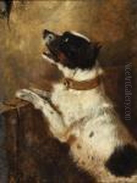 Il Cane E Il Topo Oil Painting by Filippo Palizzi