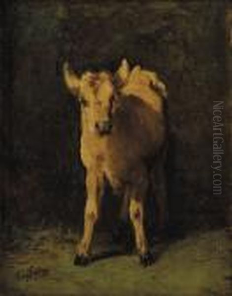 Blond Calf Oil Painting by Filippo Palizzi