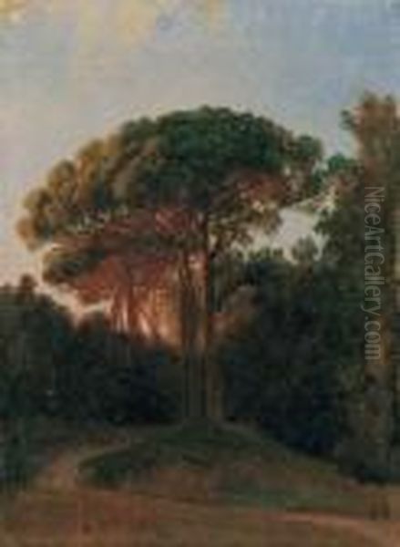 Studio Di Alberi Nel Parco Di Capodimonte Oil Painting by Filippo Palizzi