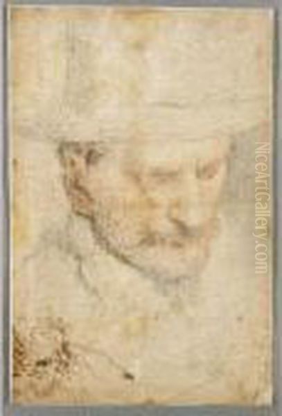 Study Of The Head Of A Man Wearing A Hat And A Sketch Of A Bearded Man Oil Painting by Acopo D'Antonio Negretti (see Palma Giovane)