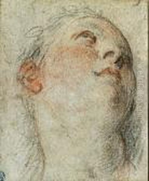 The Head Of A Woman, Looking Up To The Right (recto) ; Study Of Akneeling Nude (verso) Oil Painting by Acopo D'Antonio Negretti (see Palma Giovane)