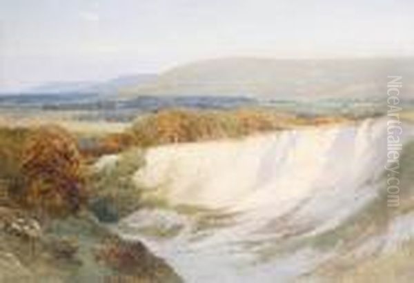 Chalkpit At Steyning Oil Painting by Harry Sutton Palmer