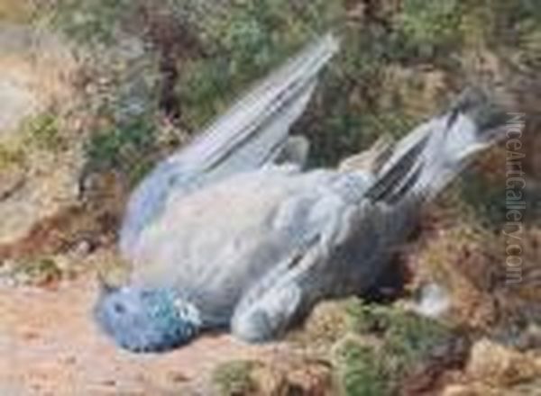 The Dead Pigeon Oil Painting by Harry Sutton Palmer