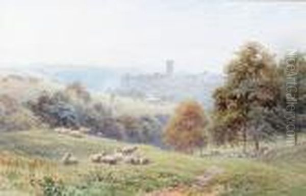 Sheep In A Pasture With The Village Of Langworthy Beyond Oil Painting by Harry Sutton Palmer