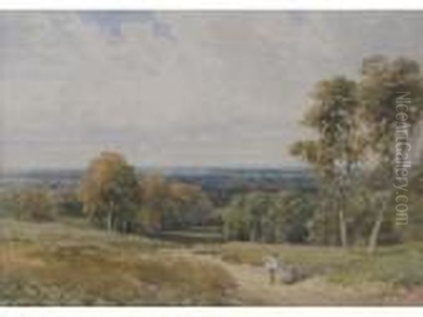 The New Forest Oil Painting by Harry Sutton Palmer