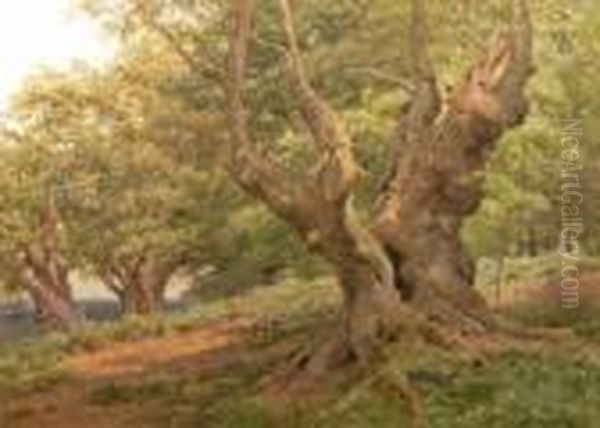 A Gnarled Oak Oil Painting by Harry Sutton Palmer