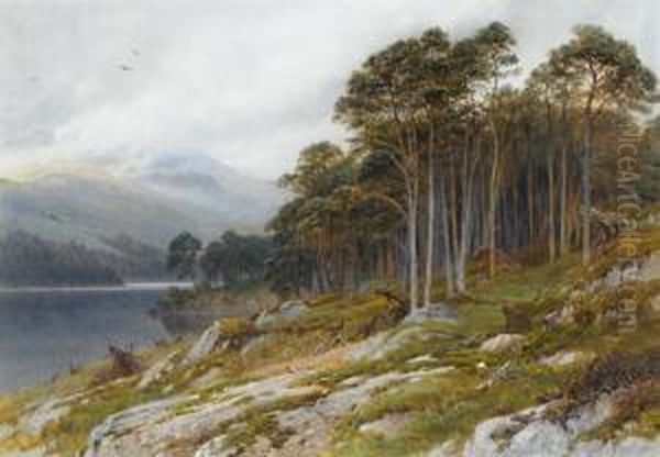 View In The Highlands Oil Painting by Harry Sutton Palmer