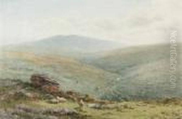 An Extensive Moorland Landscape With Sheep Grazing In The Foreground Oil Painting by Harry Sutton Palmer