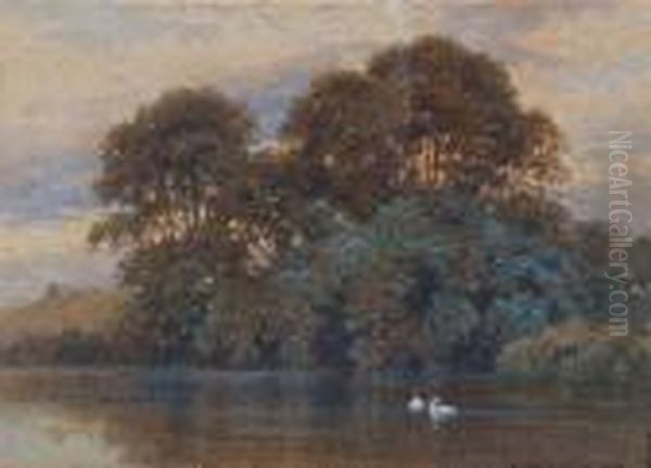 A Woodside Lake With Swans Oil Painting by Harry Sutton Palmer