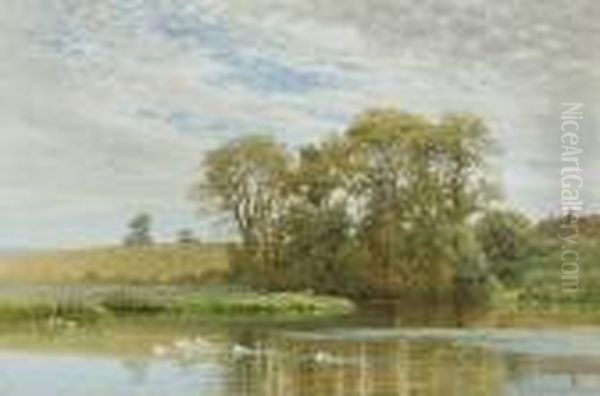 Ducks On The Village Pond Oil Painting by Harry Sutton Palmer