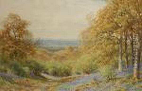 Bluebells On Leith Hill, Surrey Oil Painting by Harry Sutton Palmer