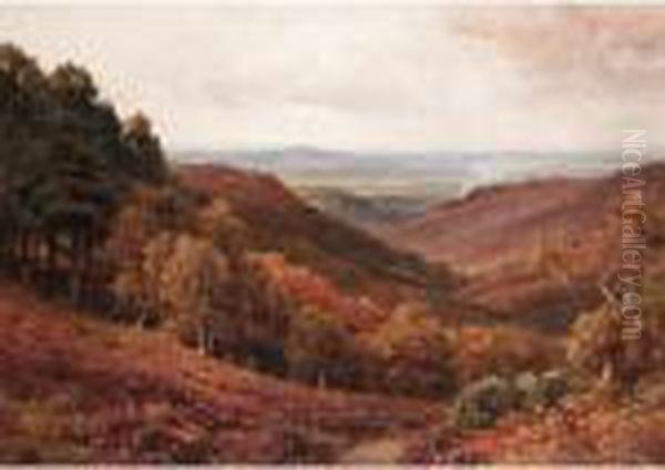 The Weald From Arundel Park Oil Painting by Harry Sutton Palmer