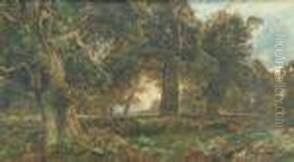 Woodland Glade At Sunset: Possibly Richmond Park Oil Painting by Harry Sutton Palmer