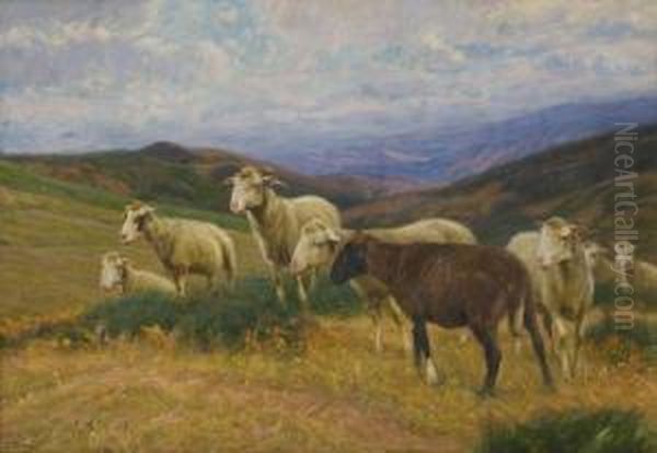 Pecore Al Pascolo Sul Montepiano Oil Painting by Ruggero Panerai