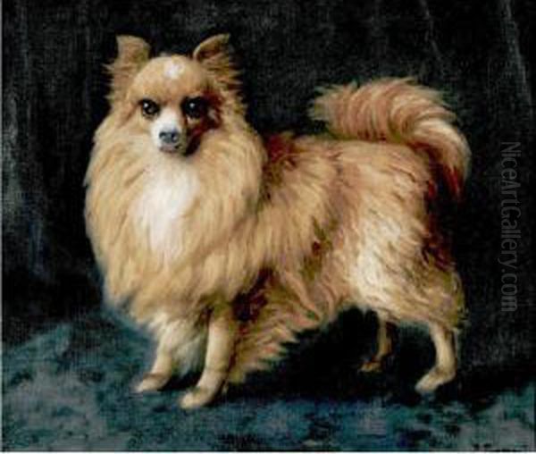 Pomeranian Oil Painting by Ruggero Panerai