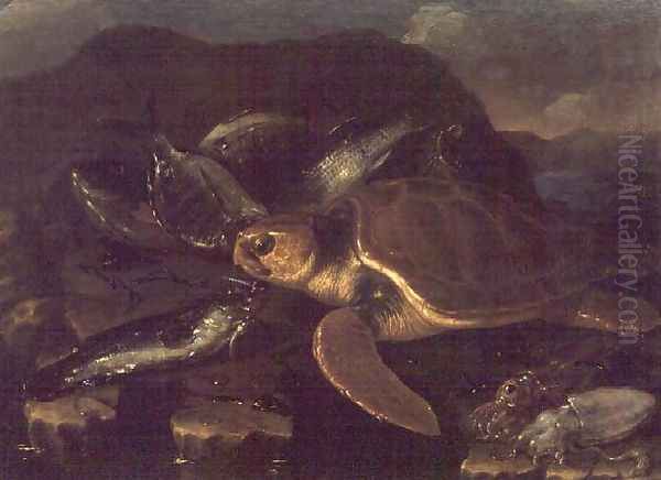 Still Life with a Fish and a Tortoise Oil Painting by Giuseppe Recco