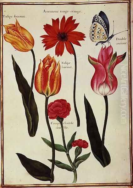 Tulips, Anemone, Lychnis and a Butterfly Oil Painting by Nicolas Robert