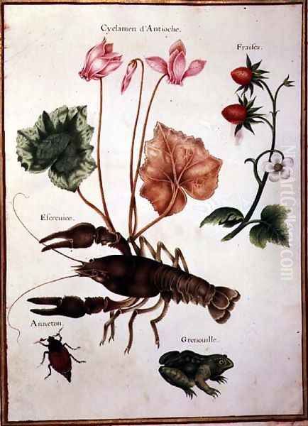 Cyclamen, Alpine Strawberry, a Lobster and a Frog Oil Painting by Nicolas Robert