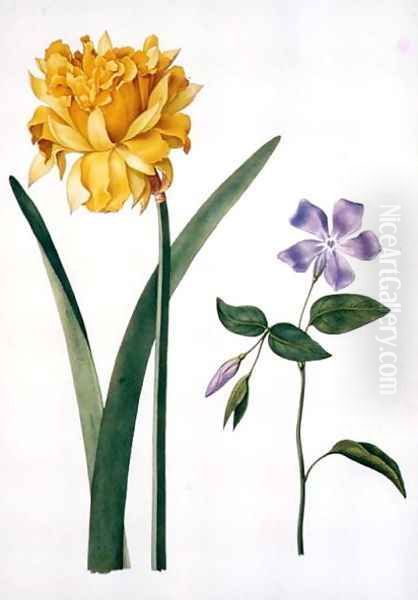 Double Daffodil and Periwinkle Oil Painting by Nicolas Robert