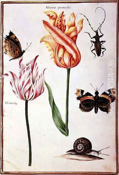 Two Broken Tulips, a Beetle, a Snail and two Butterflies Oil Painting by Nicolas Robert