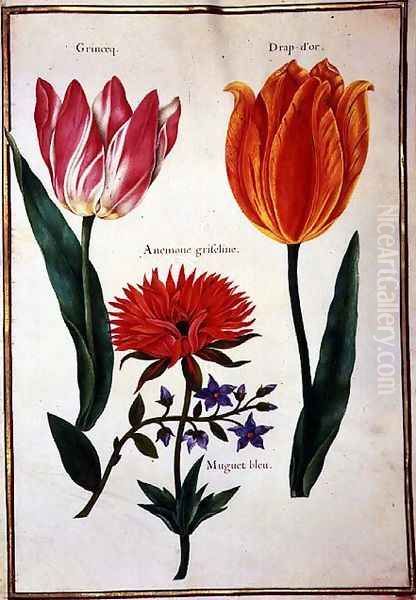 Two Broken Tulips, Anemone and a Blue Lily of the Valley Oil Painting by Nicolas Robert