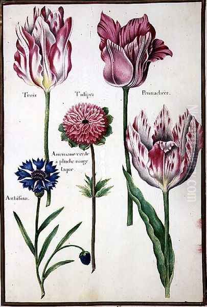 Three Broken Tulips, Cornflower and Anemone Oil Painting by Nicolas Robert