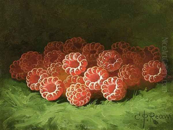 Still Life with Raspberies Oil Painting by Carducius Plantagenet Ream