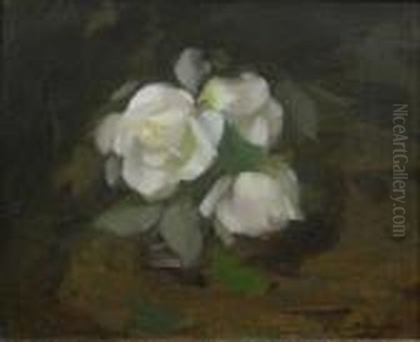 White Roses Oil Painting by James Stuart Park