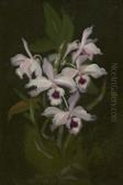 Irises Oil Painting by James Stuart Park