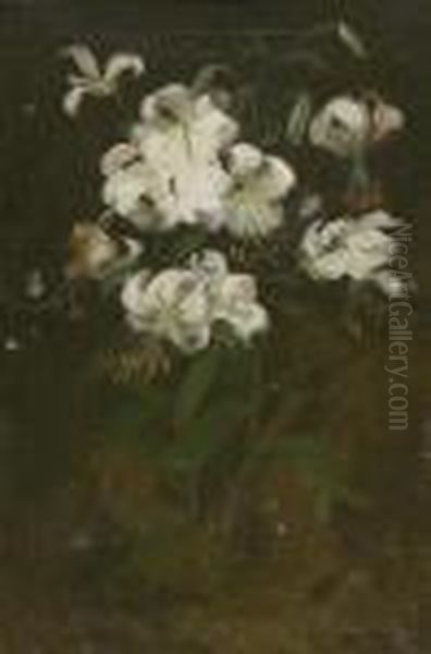 White Lilies Oil Painting by James Stuart Park