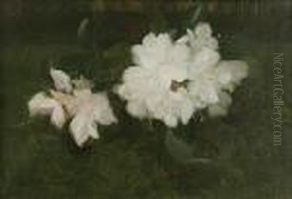 White Rhododendrons Oil Painting by James Stuart Park