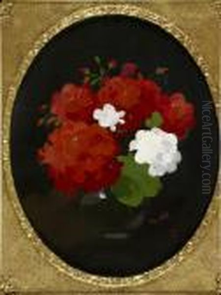 A Still Life Of Red And White Geraniums Oil Painting by James Stuart Park