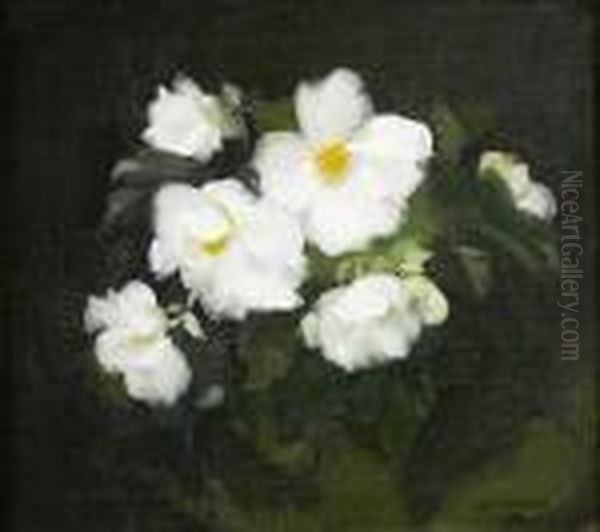 White Begonias Oil Painting by James Stuart Park