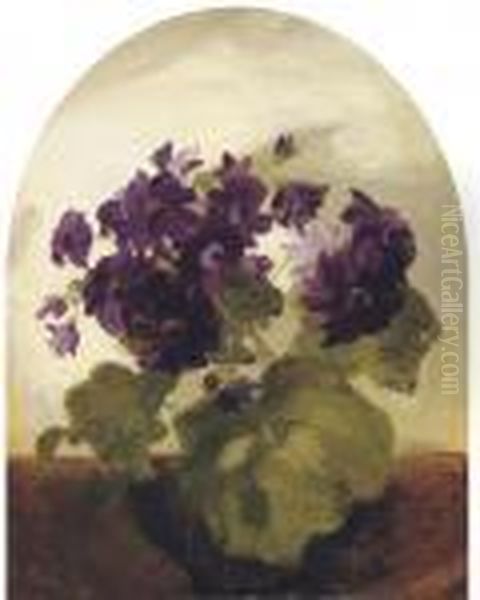 Cineraria Oil Painting by James Stuart Park