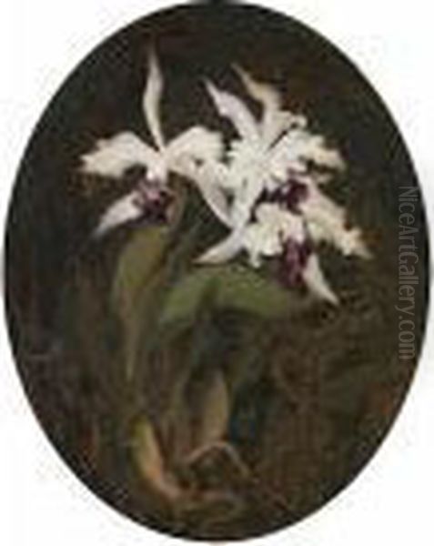 Irises Oil Painting by James Stuart Park