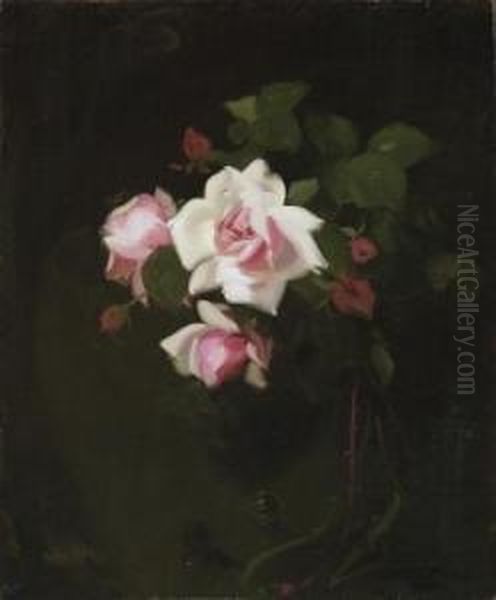 La France
 . Rose Still Life. Signed Bottom Right: Stuart Park. Oil On Canvas. 61 X 50,5cm. Framed Oil Painting by James Stuart Park