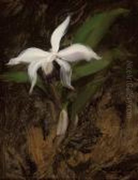 White Lily Oil Painting by James Stuart Park