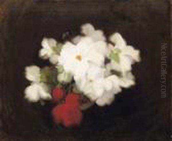 Begonias by James Stuart Park