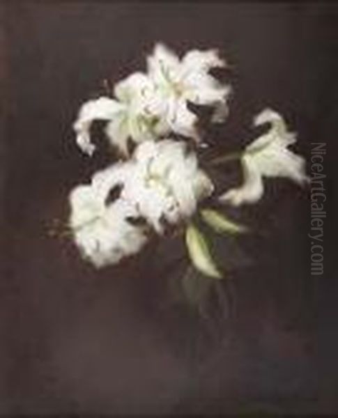 Still Life Of White Lilies Oil Painting by James Stuart Park