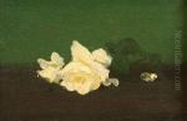 A Still Life Of White Roses Oil Painting by James Stuart Park