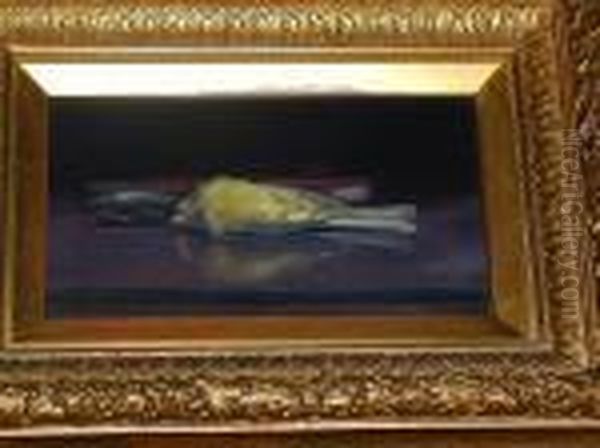 Dead Finch And Books Oil Painting by James Stuart Park