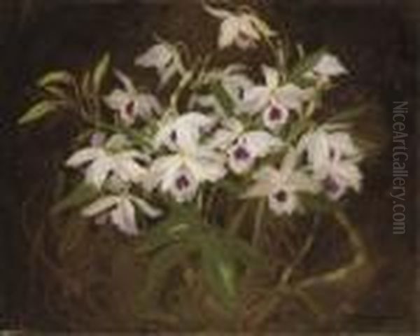 Dendrobium Orchids Oil Painting by James Stuart Park